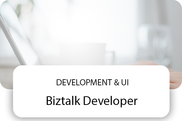 Biztalk Developer