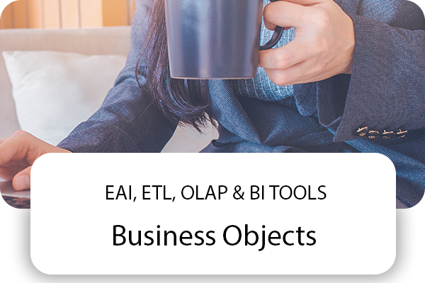 Business Objects