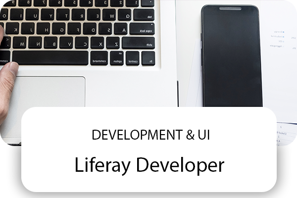 Liferay Developer