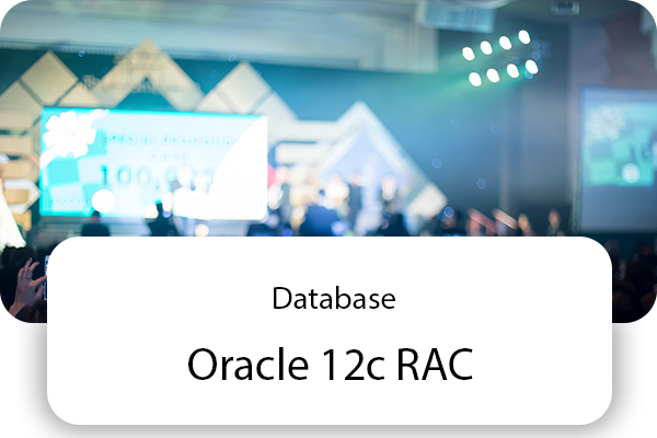https://www.taiindia.com/courses/oracle-12c-real-application-clusters-for-administrators-rac/