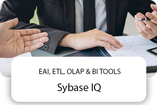 Sybase IQ