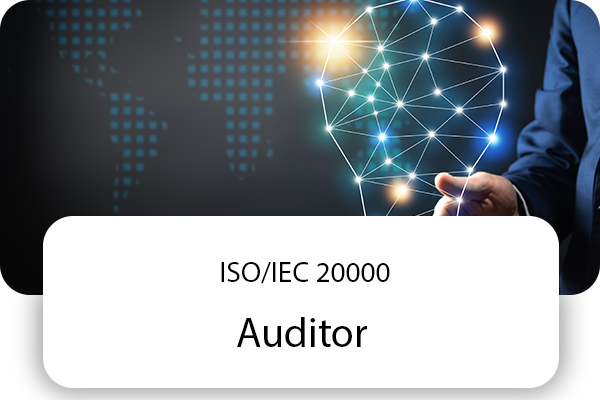 iso-iec-20000-auditor