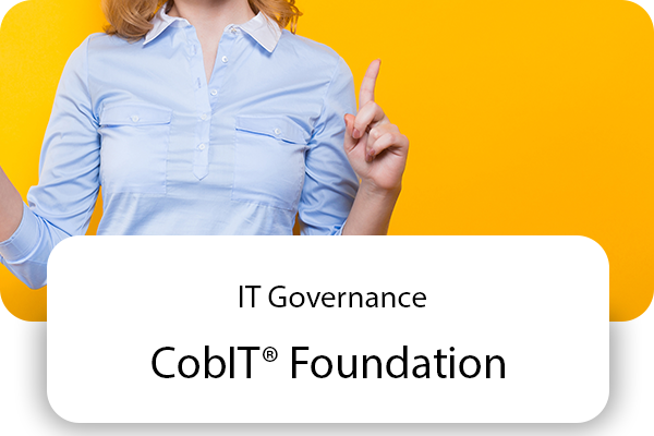 it-governance-cobit-foundation