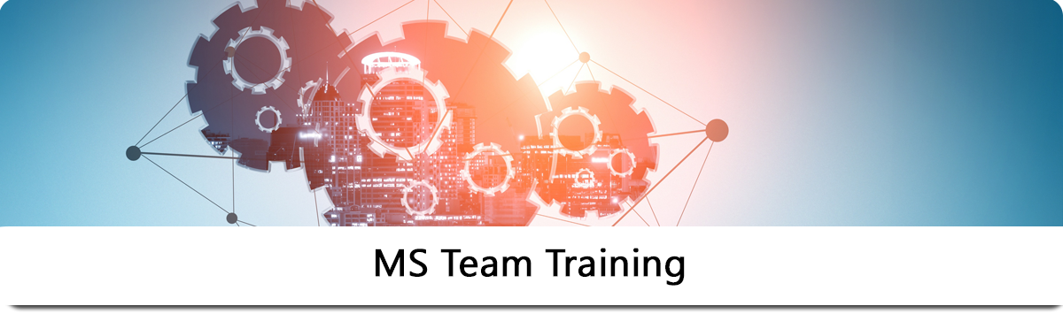 MS Team